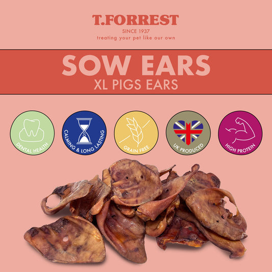 Health benefits of sows ears for dogs