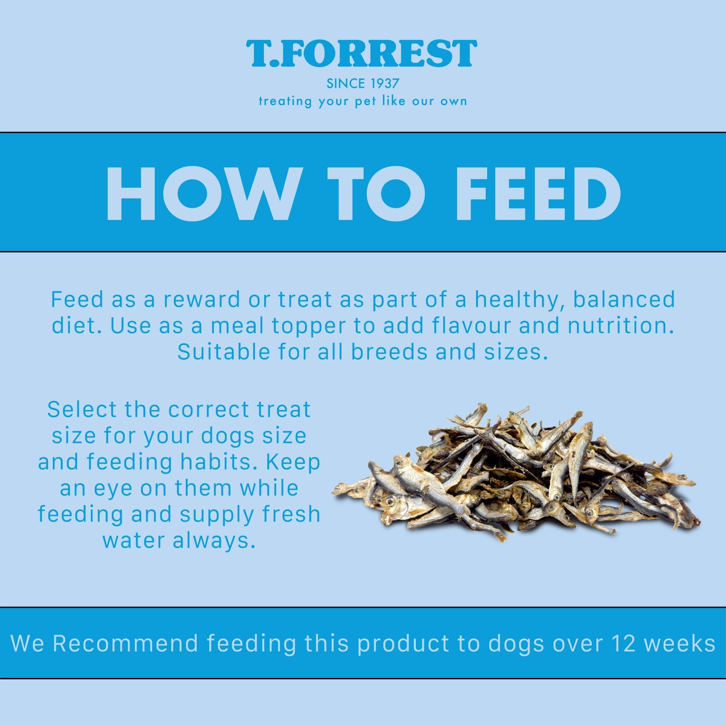 How to feed your dog sprats