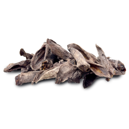 Lamb ears wholesale bulk