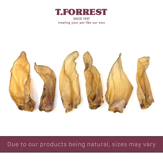 Small Buffalo Ear Sizes