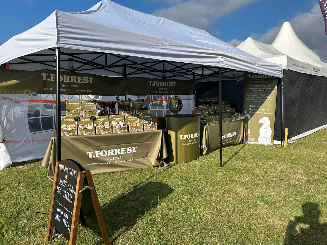 Highlights from the Great Yorkshire Show 2026