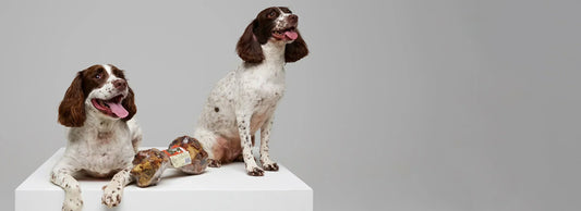 Top 10 FAQs pet owners ask about dog treats (and how to answer them)