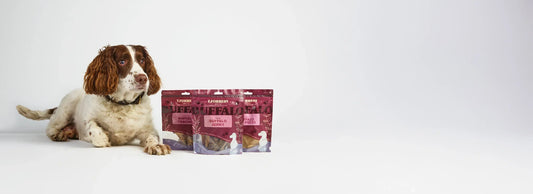 What Dog Treats Should You Sell?