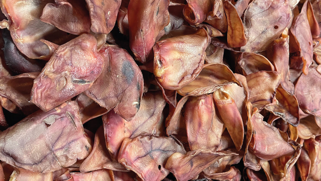 What you need to know about selling dog treats