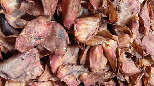 What you need to know about selling dog treats