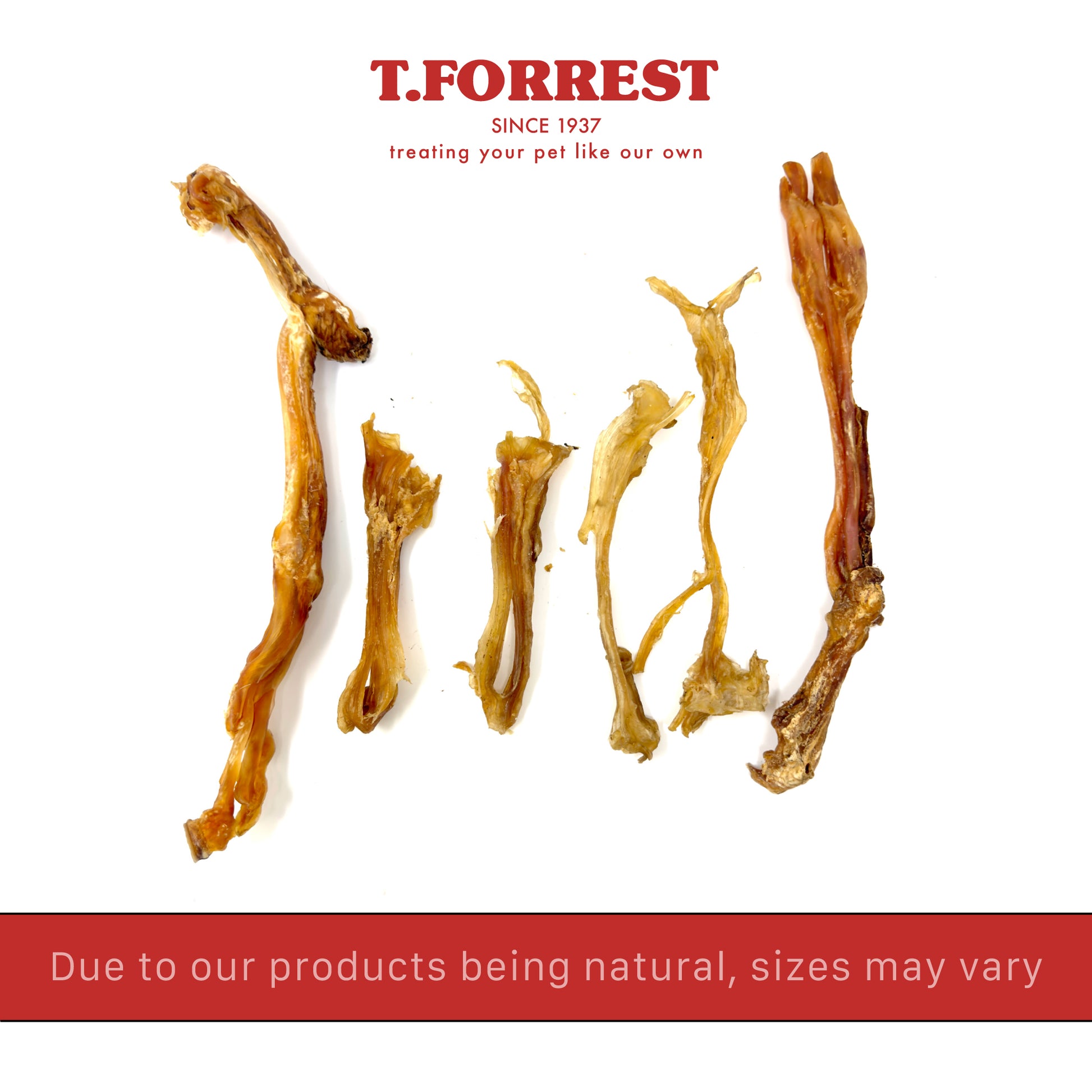 Beef Tendons Bulk Box Save With Trade Discounts T Forrest Trade beef-tendons-bulk-box-save-with-trade-discounts-t-forrest-trade