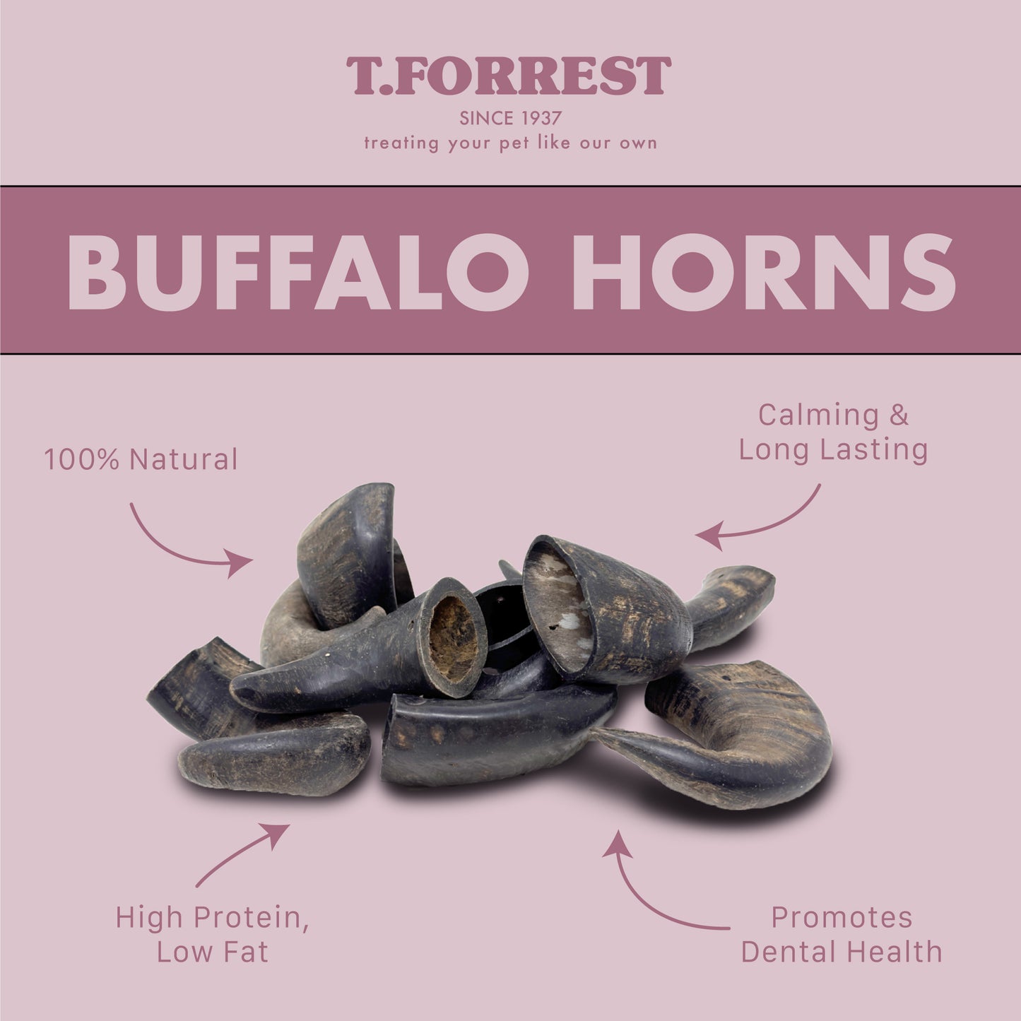 Benefits of Buffalo Horns