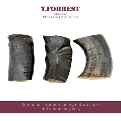 Filled Horn Section Size Variation