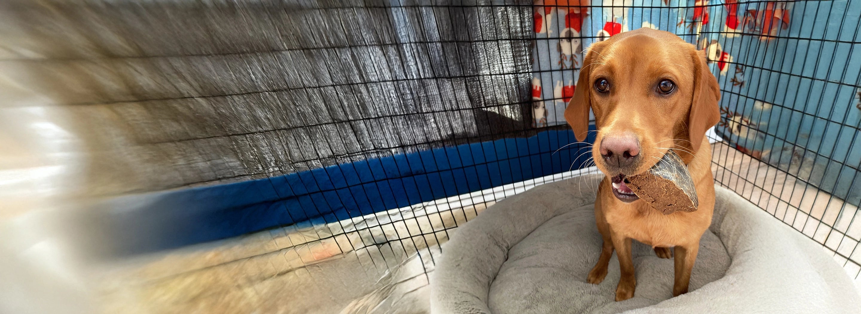 Hooves Promotion 30.10.25