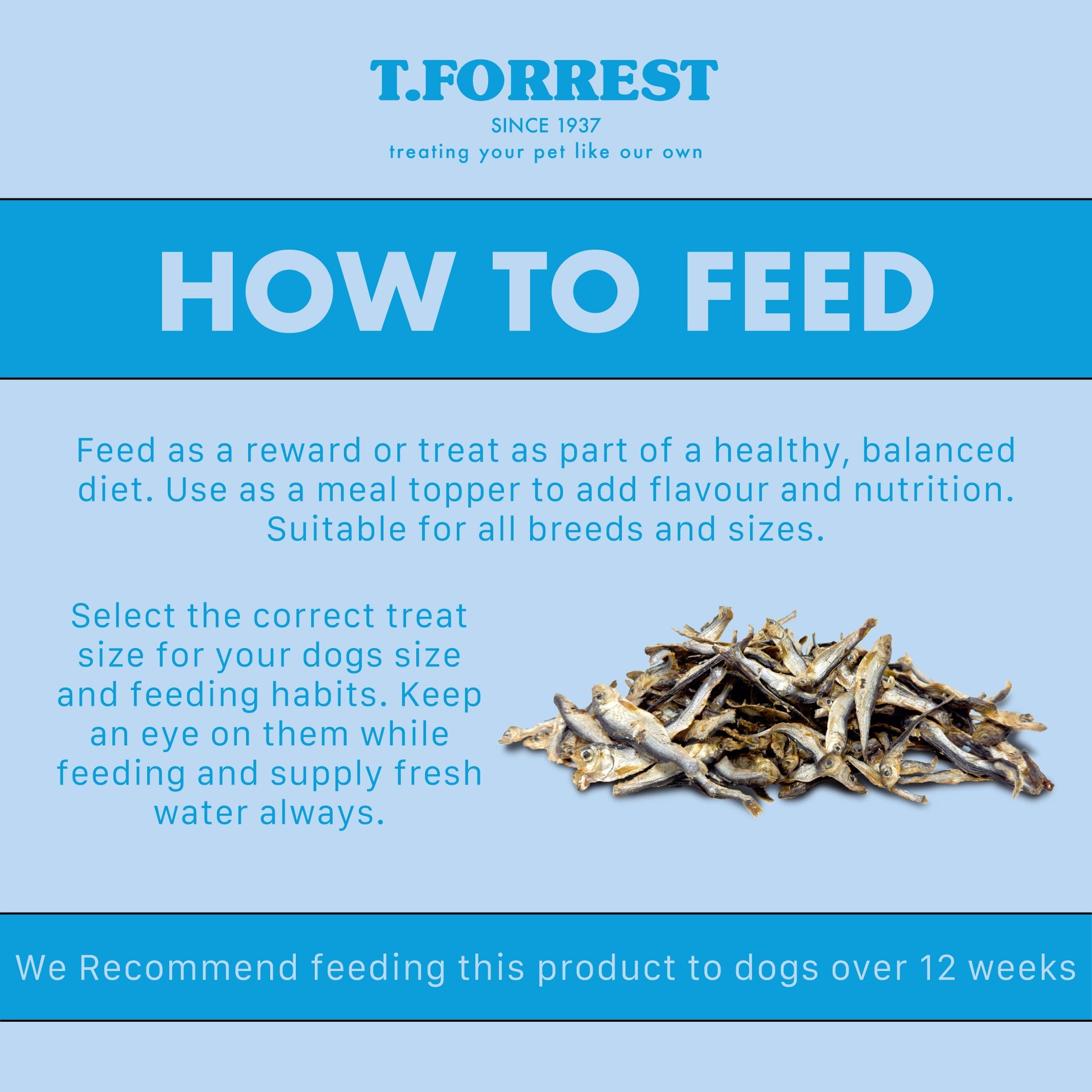How to feed your dog sprats