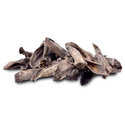 Lamb ears wholesale bulk