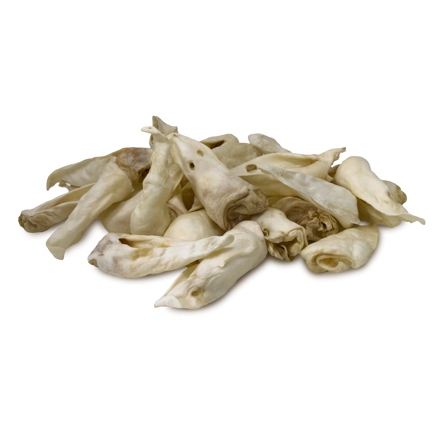 Lamb Ears Without Fur