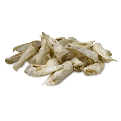 Lamb Ears Without Fur