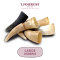 Large Buffalo Horns
