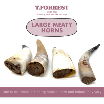 Large Peanut Buffalo Horn Scale