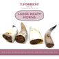 Large Peanut Buffalo Horn Scale