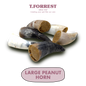 Large Peanut Filled Horn