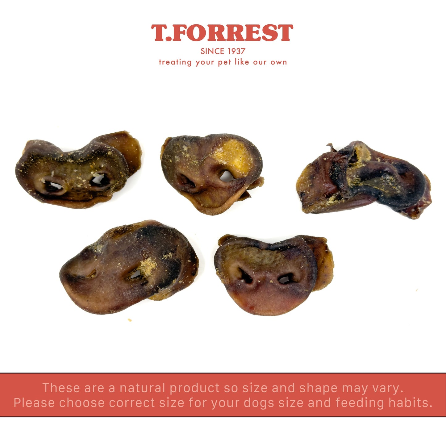 T forrest size variation of pig snout dog treats