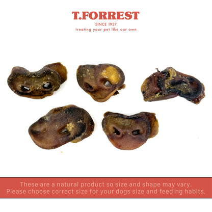 T forrest size variation of pig snout dog treats