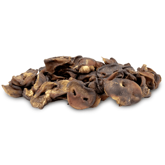 T Forrest Pig Snouts for dogs
