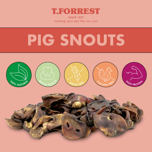 T forrest Health benefits of pig snouts for dogs