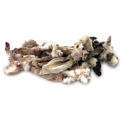 Rabbit Ears Bulk