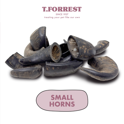 Small Buffalo Horns
