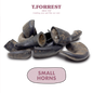 Small Buffalo Horns