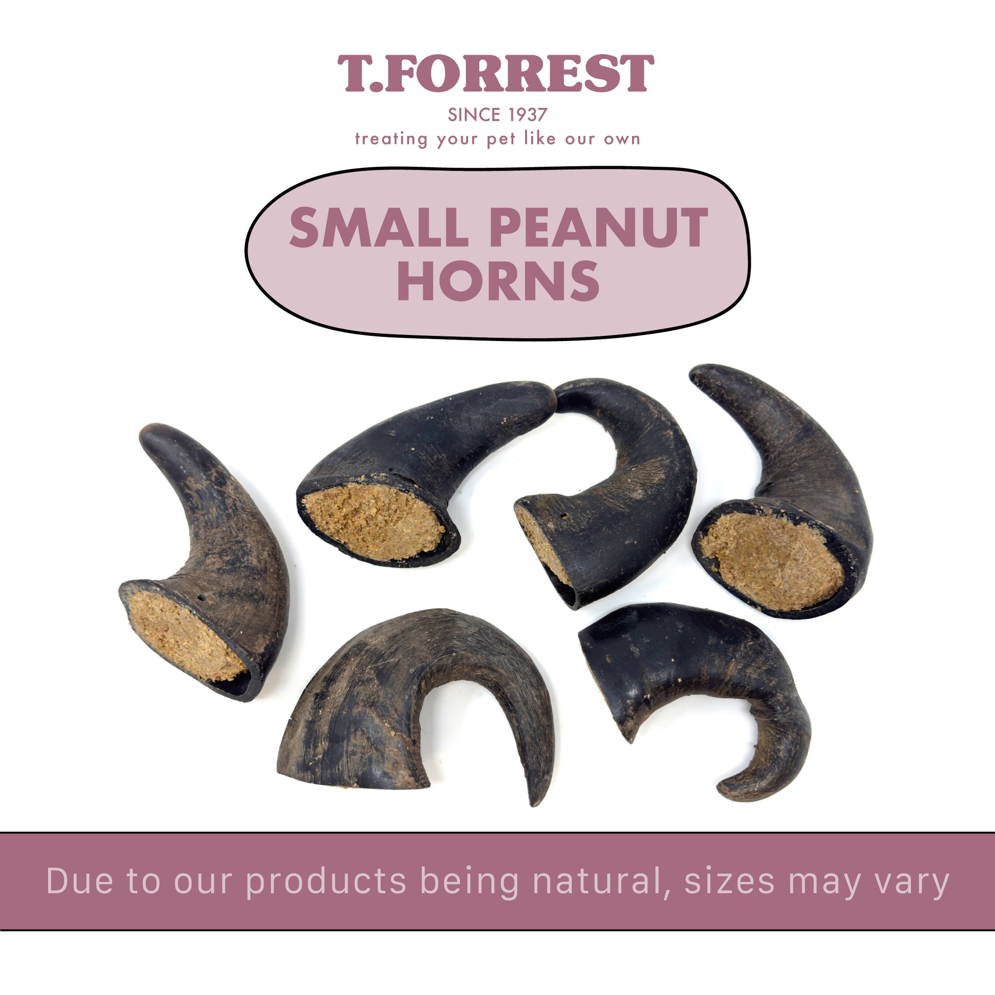 Small Peanut Buffalo Horn Scale