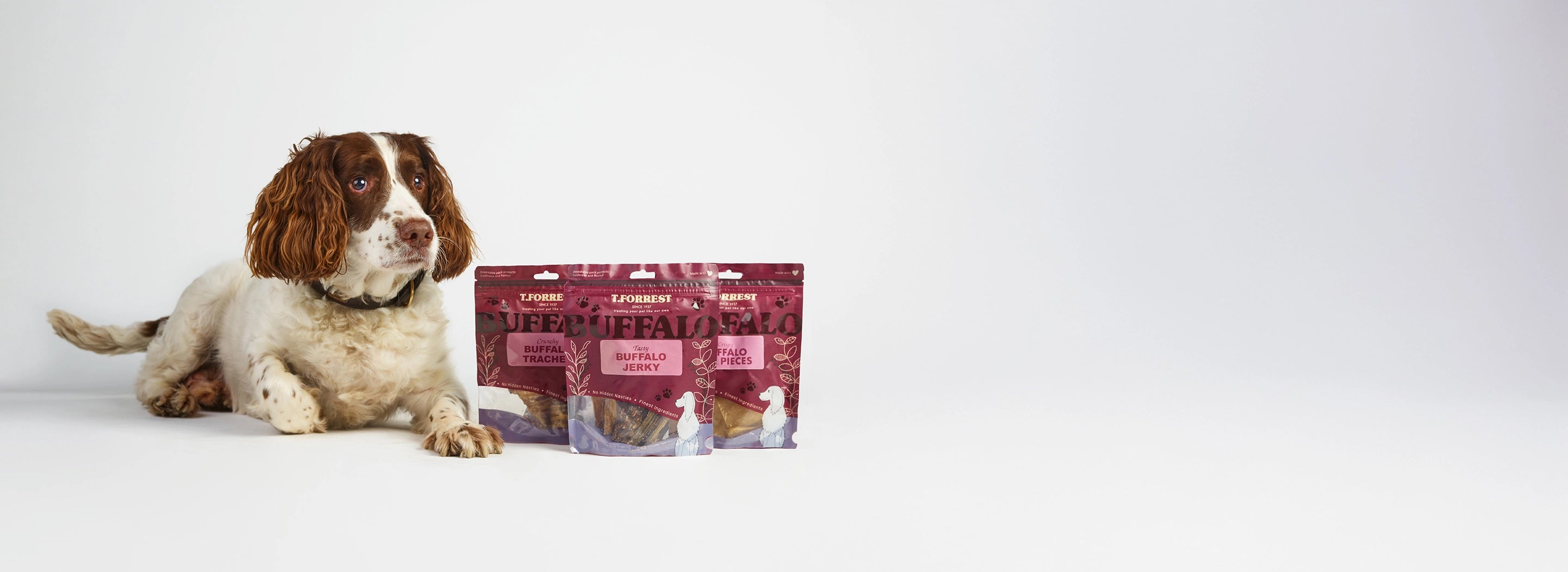 T forrest trade dog treat offers 