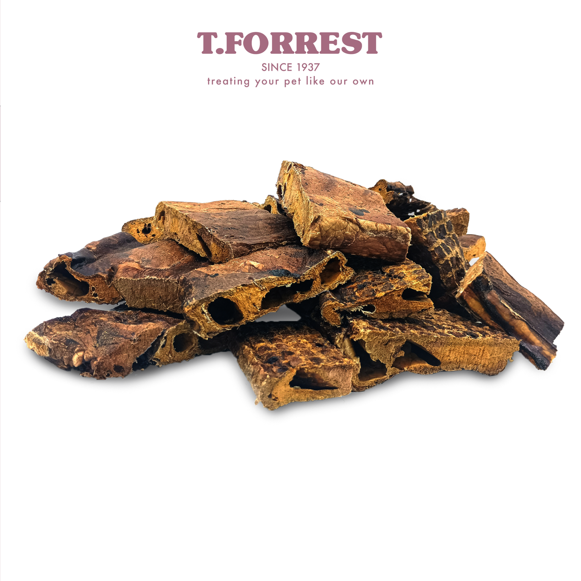 T Forrest Buffalo Lung