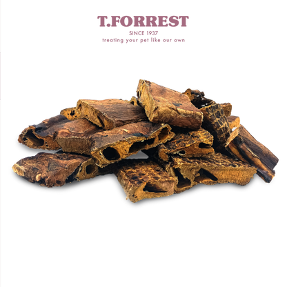 T Forrest Buffalo Lung