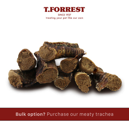 Yule Log bulk 