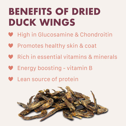 benefits of duck wings