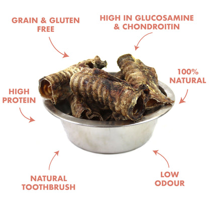 benefits of trachea