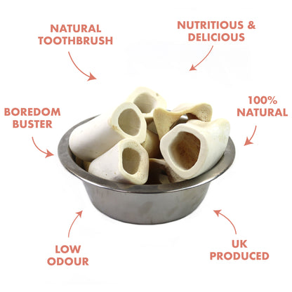 benefits of hollow calcium bones