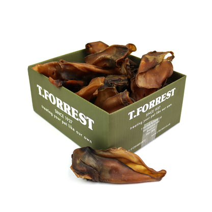cows ear