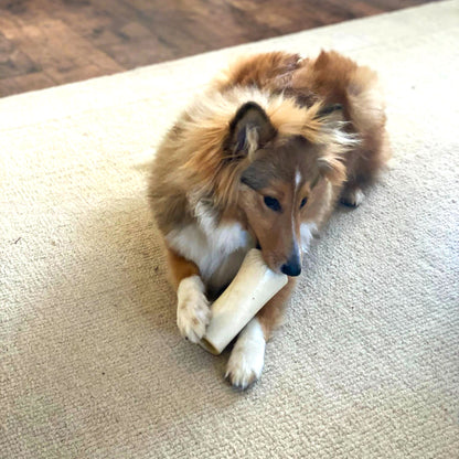 beef and dripping filled bone