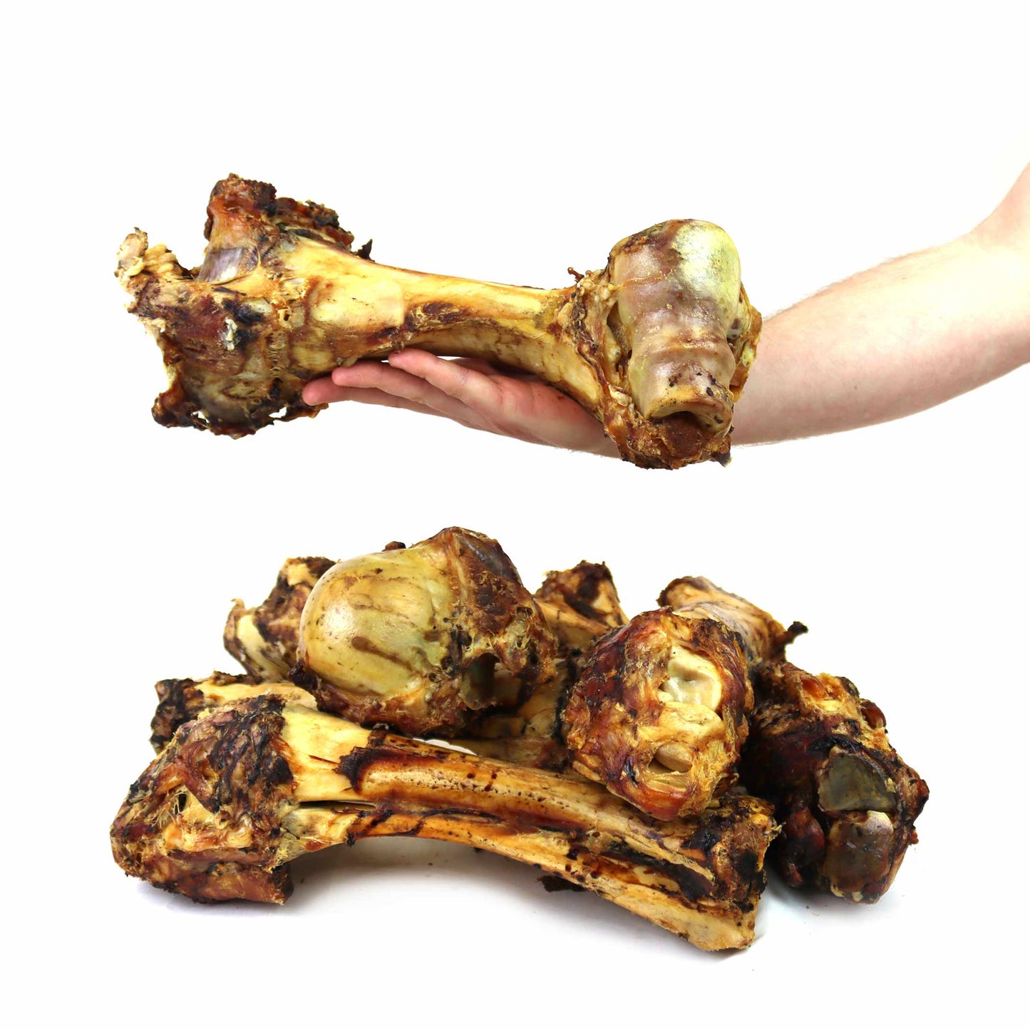 Roast Whole Bone (Jurassic)