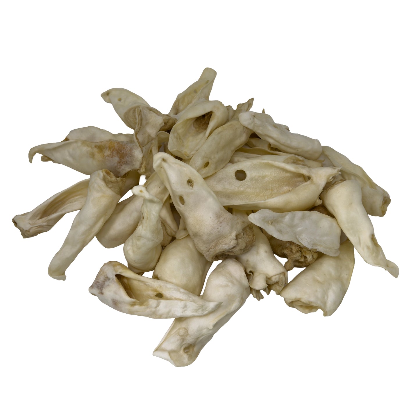 Lamb Ears Without Fur