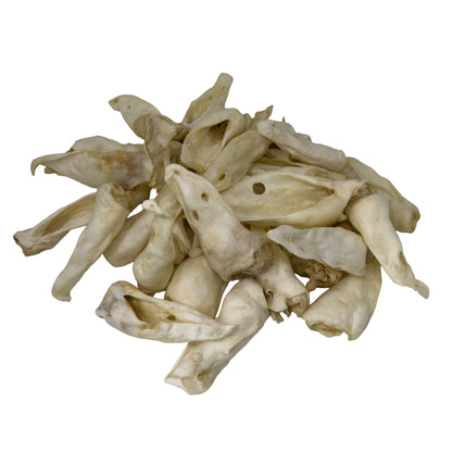 Lamb Ears Without Fur
